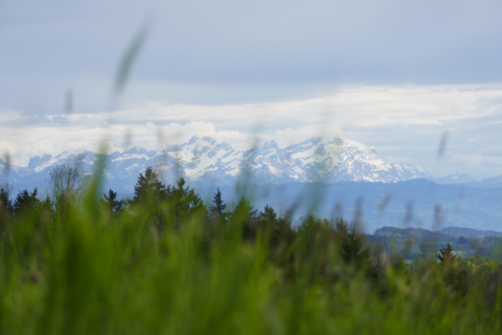 die KENNste! – Print und Online Gestaltung