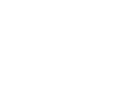 Alexander Heinzl